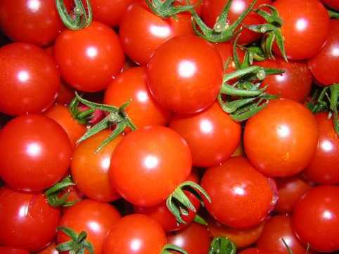 hermosos y rojos tomates