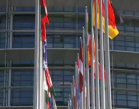 Banderas ante el parlamento en Estrasburgo