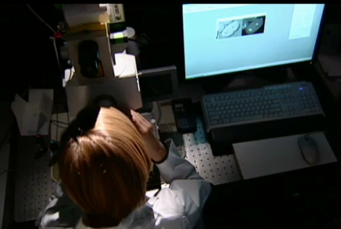Una investigadora examina algo en un microscopio