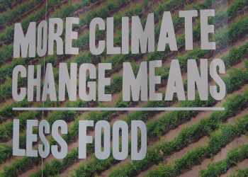 UN poster que dice «más cambio climático menos alimento»