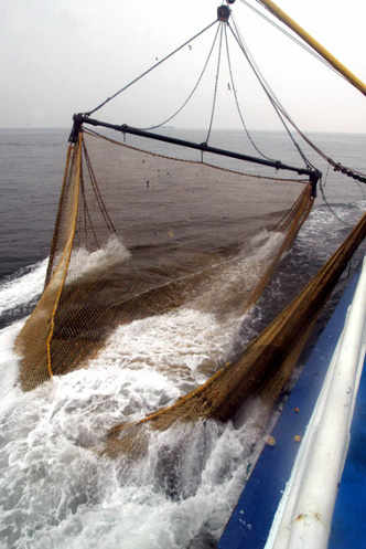 Un barco levanta una red del mar