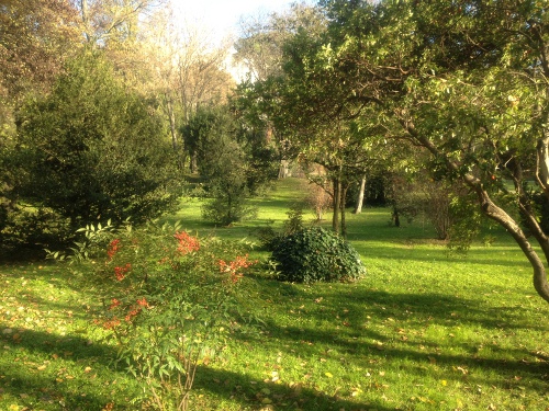 Parque del Campo del Moro (Madrid)