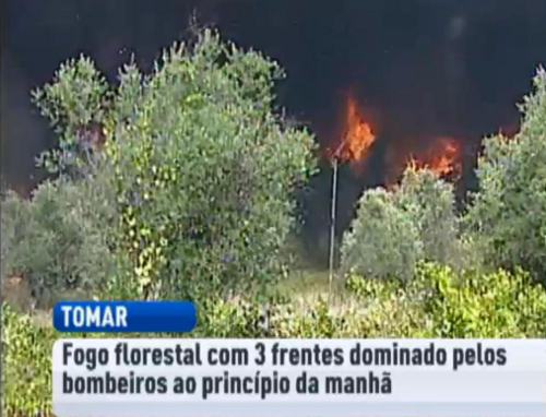 Imagen de tv del incendio forestal de Tomar (Portugal)