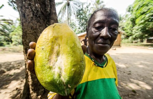 Una mujer muestra una papaya grande