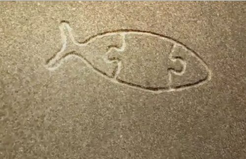un pez en la arena