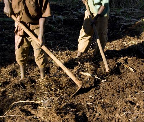 Campesinos labrando la tierra en Mozambique