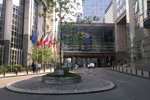 Arbol del lobbista en el Parlamento Europeo en Bruselas