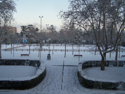 árboles y todo en general en el parque de Berlín de Madrid cubierto de nieve
