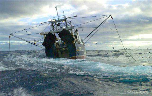 Barco de pesca de arrastre