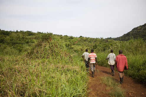 tierras vendidas en Uganda