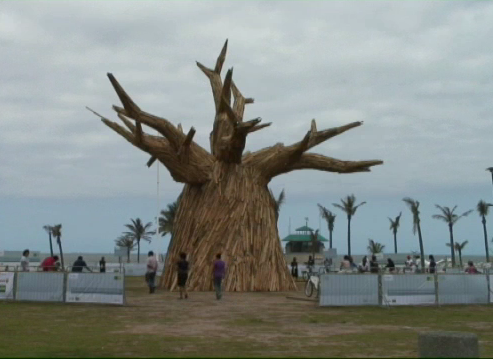 Un Baobab cerca de la playa