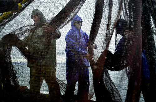 Unos pescadores vistos a través de las redes que cuelgan