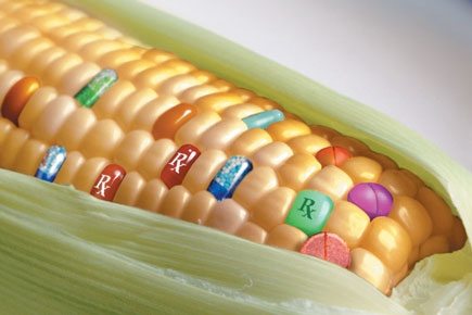 Una mazorca de maíz, algunos granos están sustituidos por píldoras