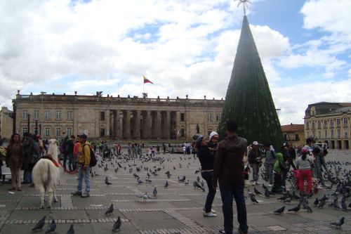domingueros en Plaza de Bolívar pasean indiferentes al diálogo de paz