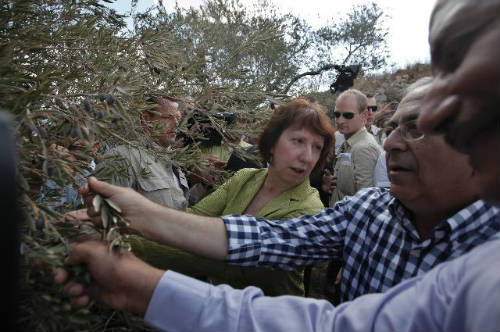 Ashton y Fayyad recogiendo olivas en Palestina