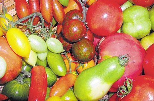 Frutas y verduras de magnífico aspecto