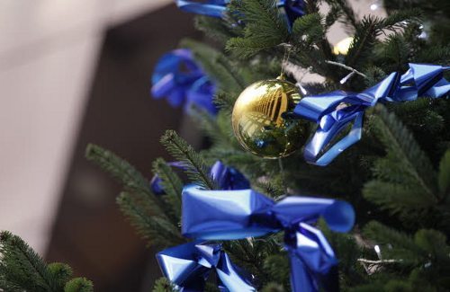 Bolas doradas y lazos azules en el árbol navideño
