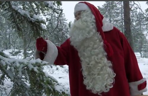 Papa Noel examinando un árbol
