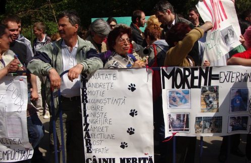 Manifestantes con pancartas contra el sacrificio de perros