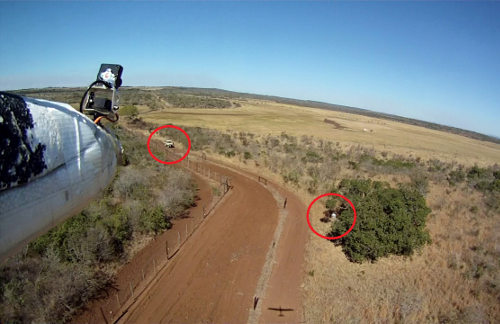 Un drone localiza un rinoceronte y el coche de unos furtivos