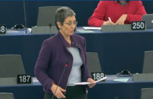 La ponente defendiendo su informe en el PE