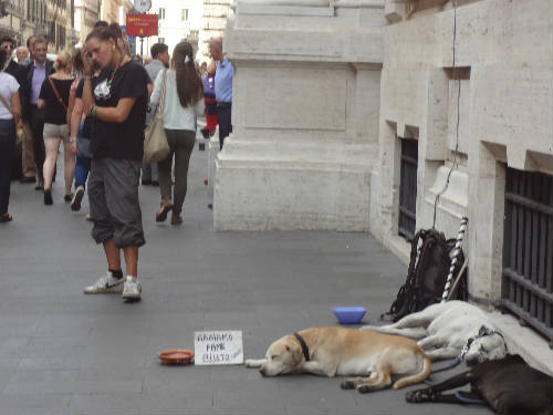 Pobre en calle Roma