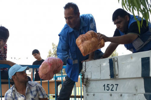 Distribución de WFP alimentaria en Gaza