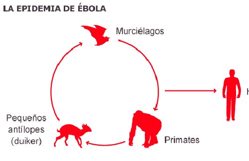 Infografía del contagio del ébola