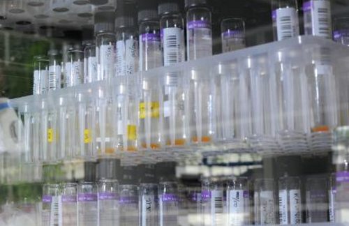 Tubos de ensayo en un laboratorio