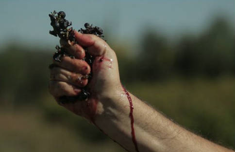 Fotograma película, con mano apretando un racimo de uva roja