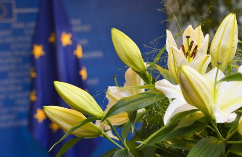 Unas flores y detrás la bandera de Europa