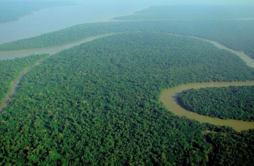 Vista aérea de la Amazonia